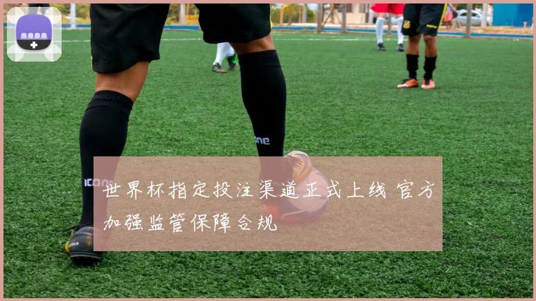 世界杯指定投注渠道正式上线 官方加强监管保障合规