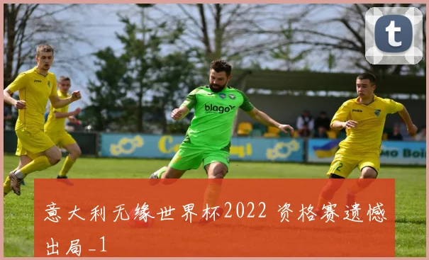 意大利无缘世界杯2022 资格赛遗憾出局_1