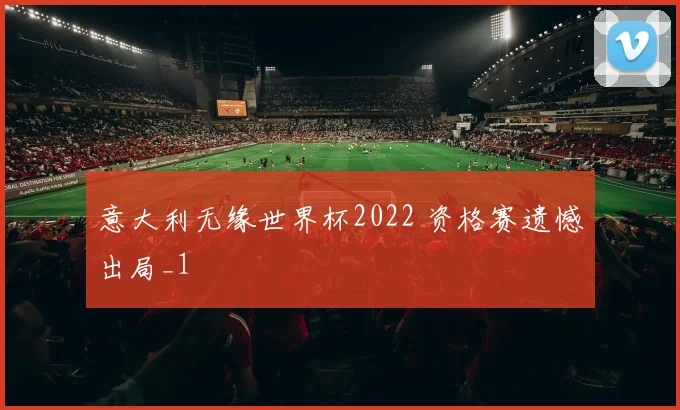 意大利无缘世界杯2022 资格赛遗憾出局_1