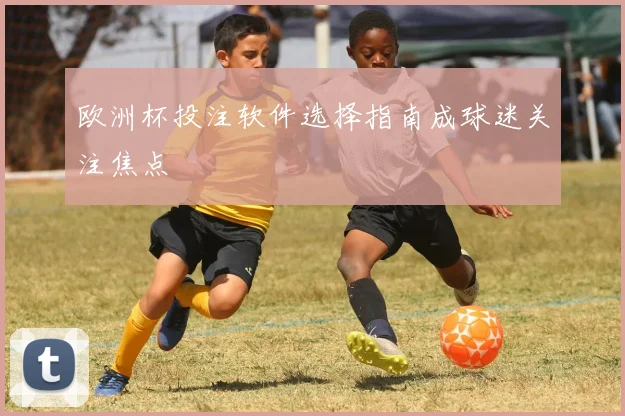 欧洲杯投注软件选择指南成球迷关注焦点