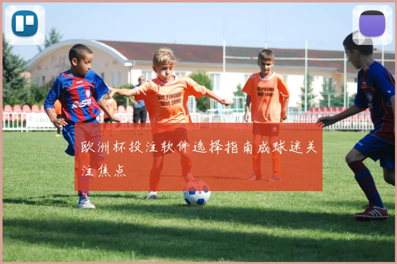 欧洲杯投注软件选择指南成球迷关注焦点