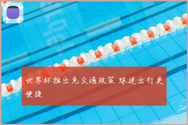 世界杯推出免交通政策 球迷出行更便捷